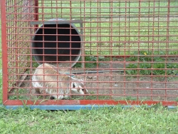 Roadside-zoo-14