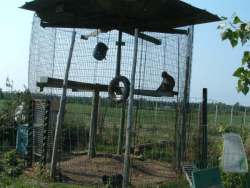 Roadside-zoo-8-berg
