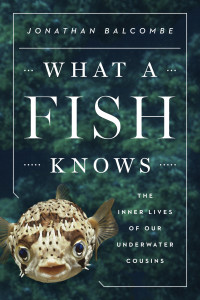 WhatAFishKnows